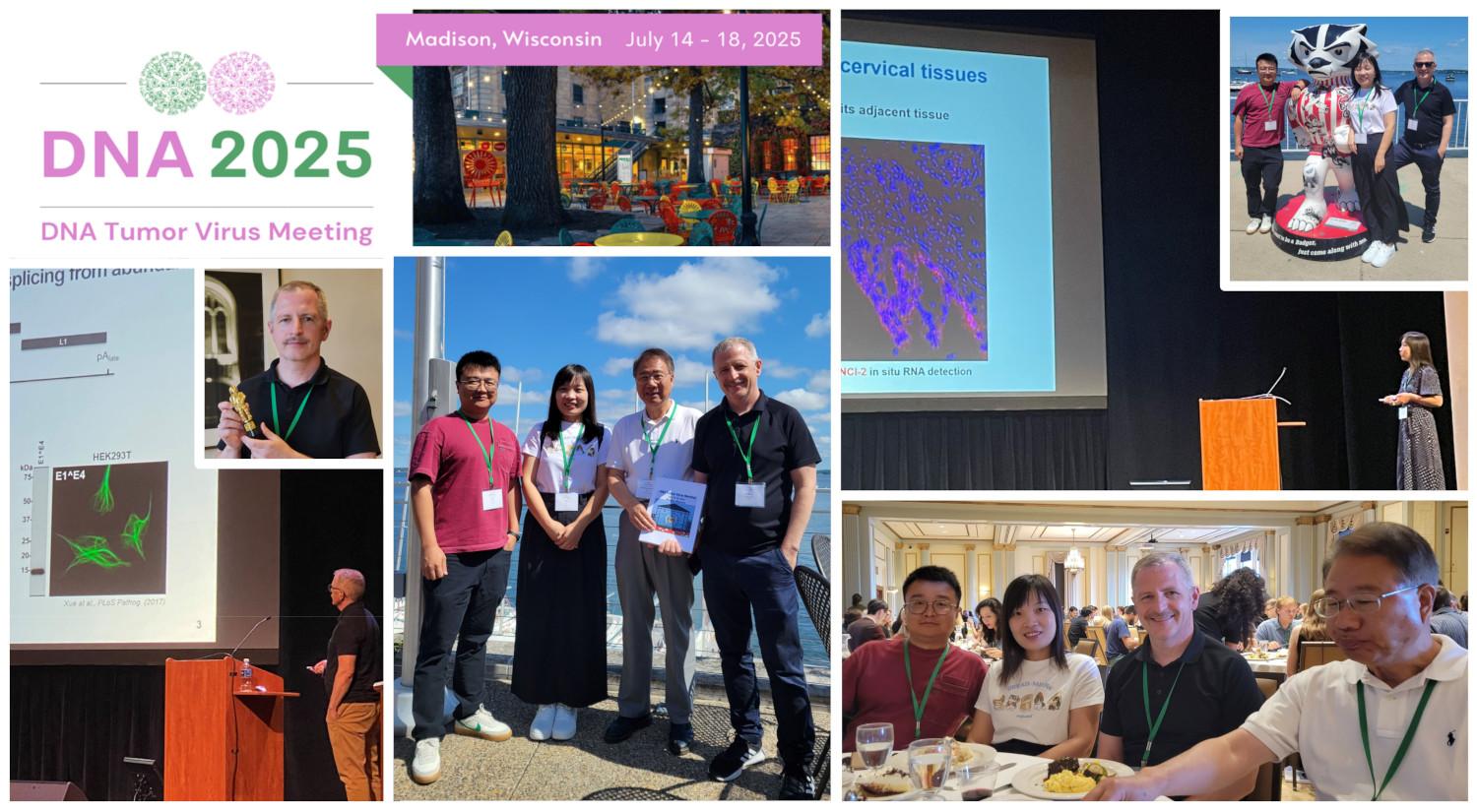 Photos of Zheng lab at the DNA Tumor Virus Meeting 2025