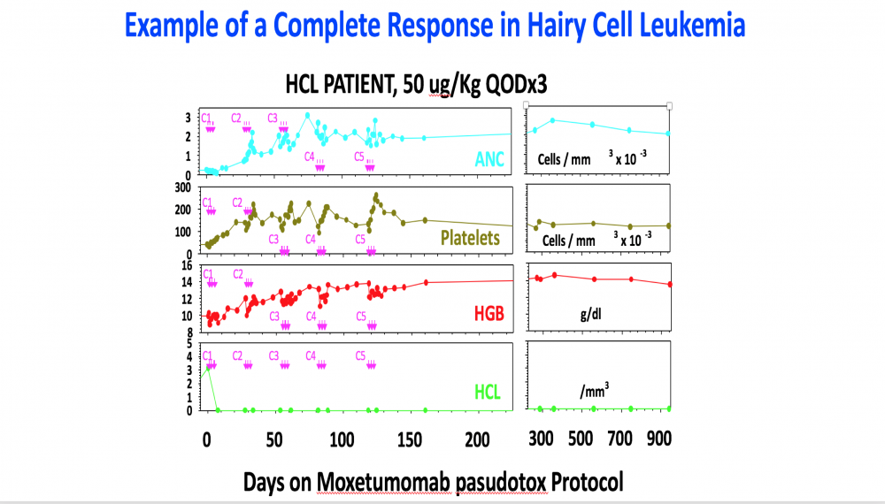 Example of a Complete Response to Immunotoxin in Hairy Cell Leukemia
