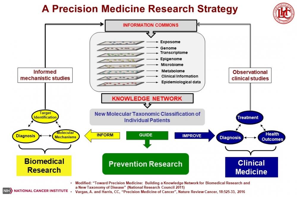 Precision Medicine Research Strategy