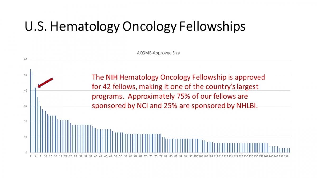 Fellows Hematology/Oncology Fellowship Center for Cancer Research