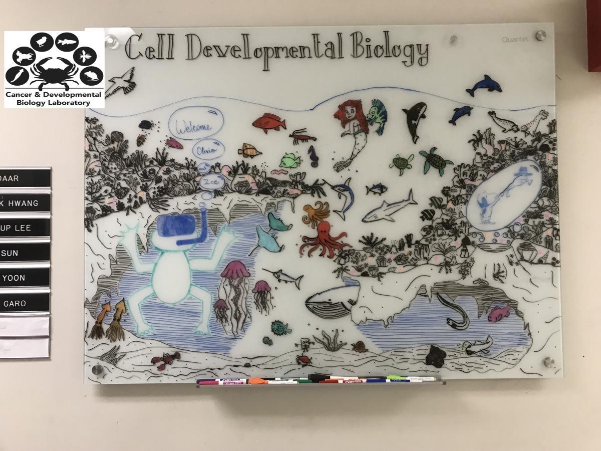 Welcome new Werner H. Kirsten High School Student Interns!  Artistry by Rachel Beall and Heather Rogers