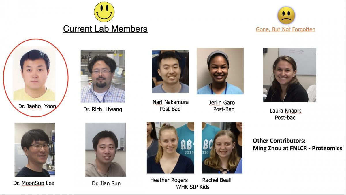Daar Lab Team 2019