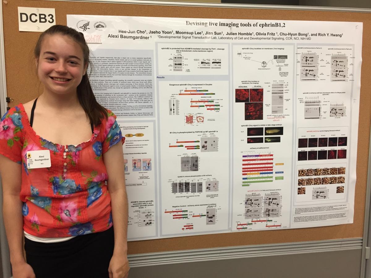 Alexi Baumgardner, WHK High School Intern 2016-2017, Poster Presentation 