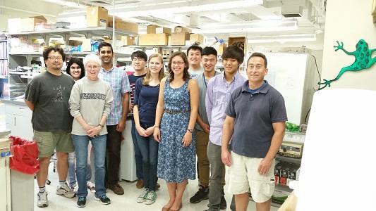 The Daar Lab Team 2015