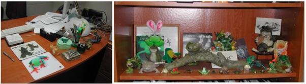 Some of our favorite frog decor
