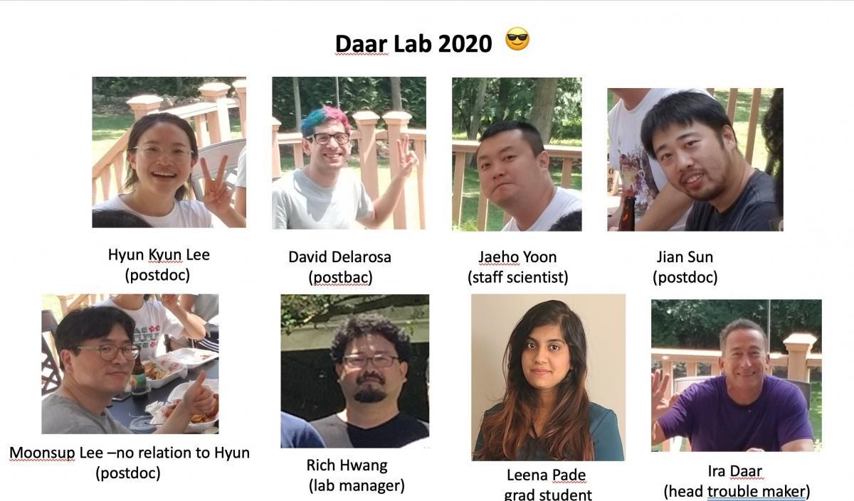 Daar Lab 2020