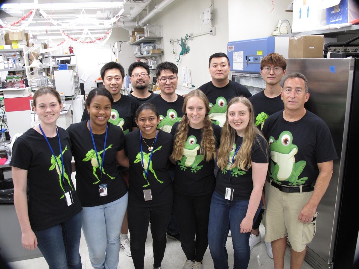 Daar Lab Summer 2019 - Front row (L-R): Zoe Poppert, Jerlin Garo, Bhuvana Pandalai, Heather Rogers, Rachel Beall.  Back row (L-R): Jian Sun, Yoo-Seok (Rich) Hwang, Moonsup Lee, Jaeho Yoon, Hongchan Lee, Ira Daar. Olivia Stevens (not in photo)