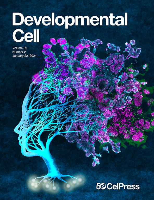 Cover of Developmental Cell January 22, 2024. 