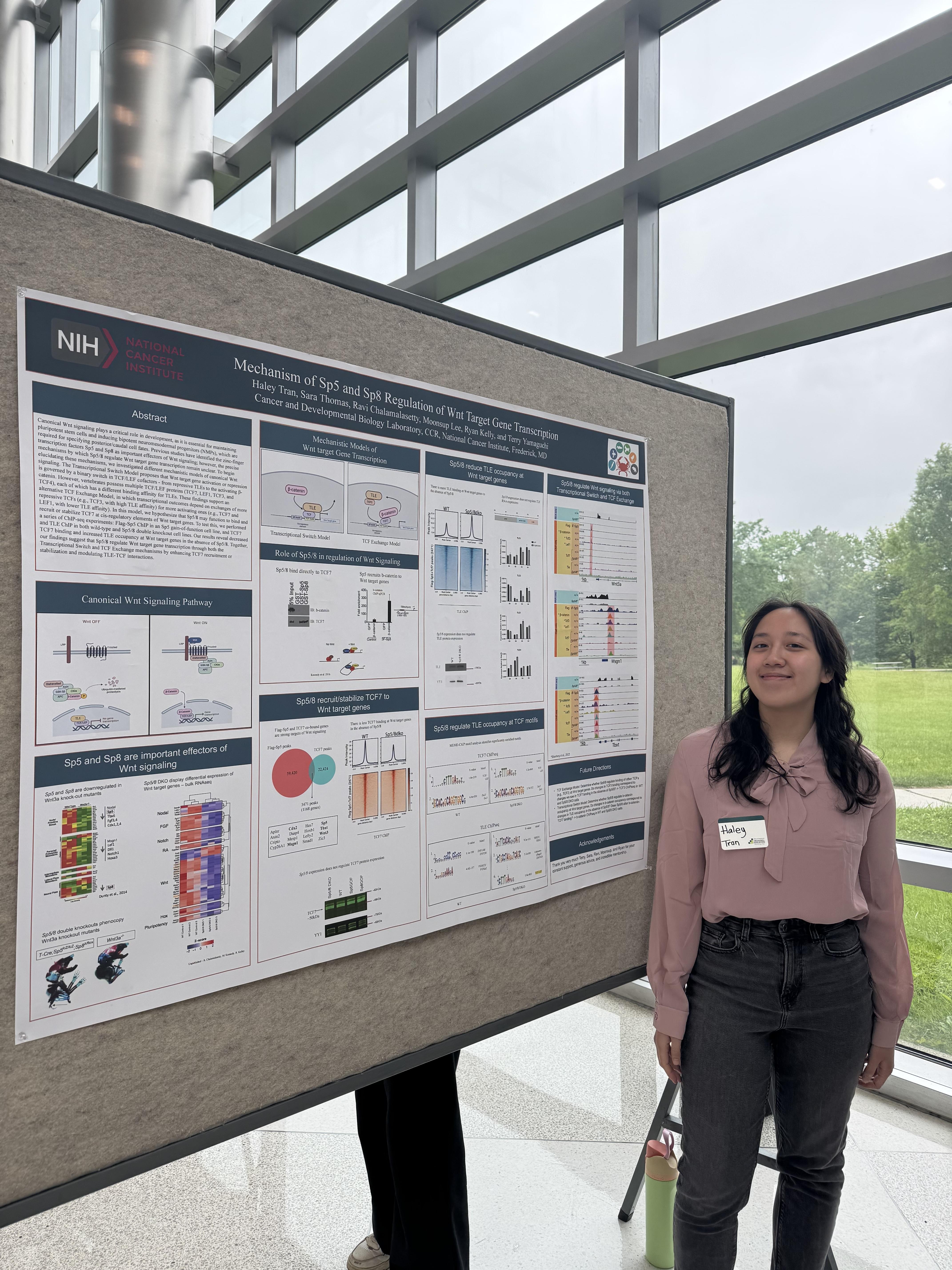 Haley Tran-Postbac Poster Day