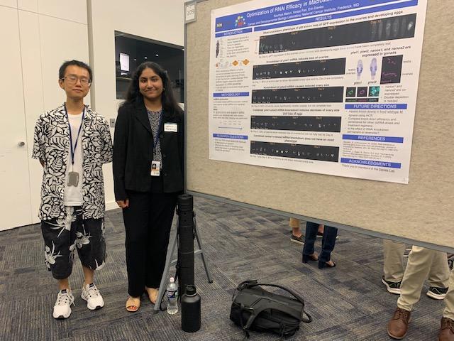 Soumya Maturi with mentor, Xintao Fan, Ph.D., presenting her poster at the NIH Summer Intern Poster Day - Aug. 3rd, 2023, Bethesda, MD.