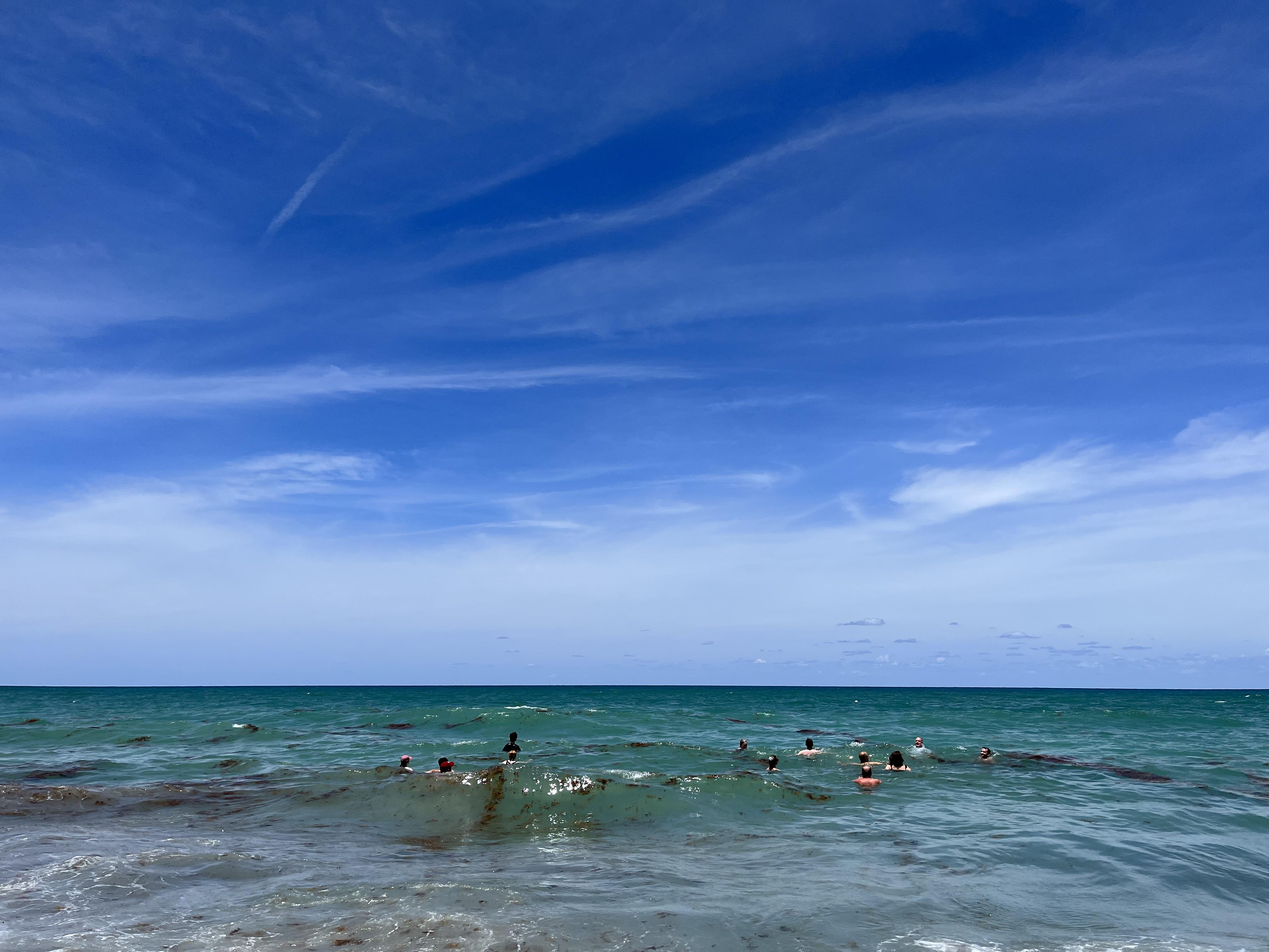 People swimming in the sea