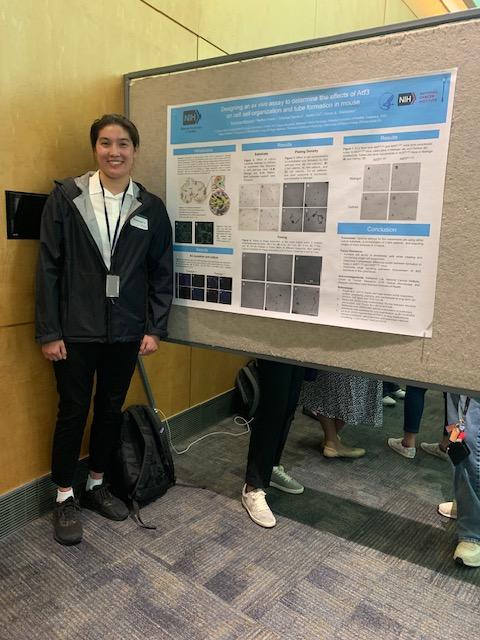 NIH Poster Day, Aug. 2, 2024. Karolina Haryanto, Niethamer Lab