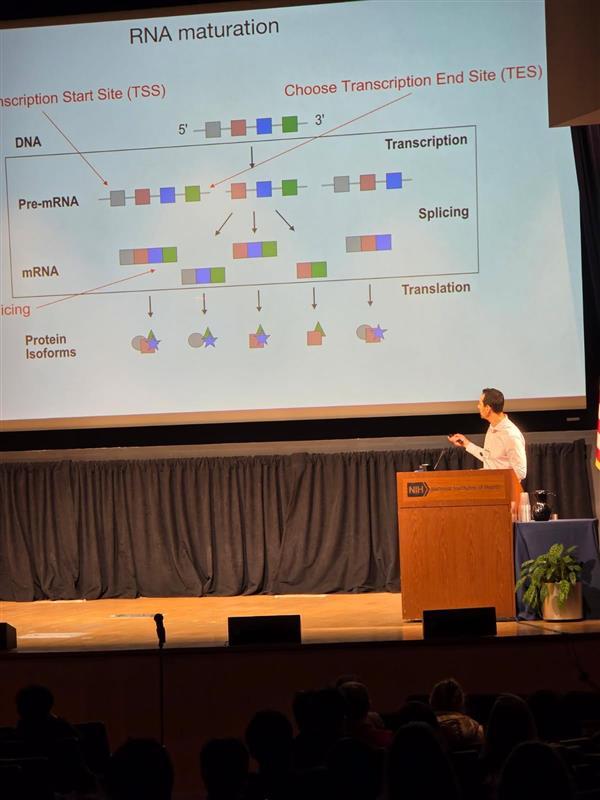 A speaker giving a scientific lecture
