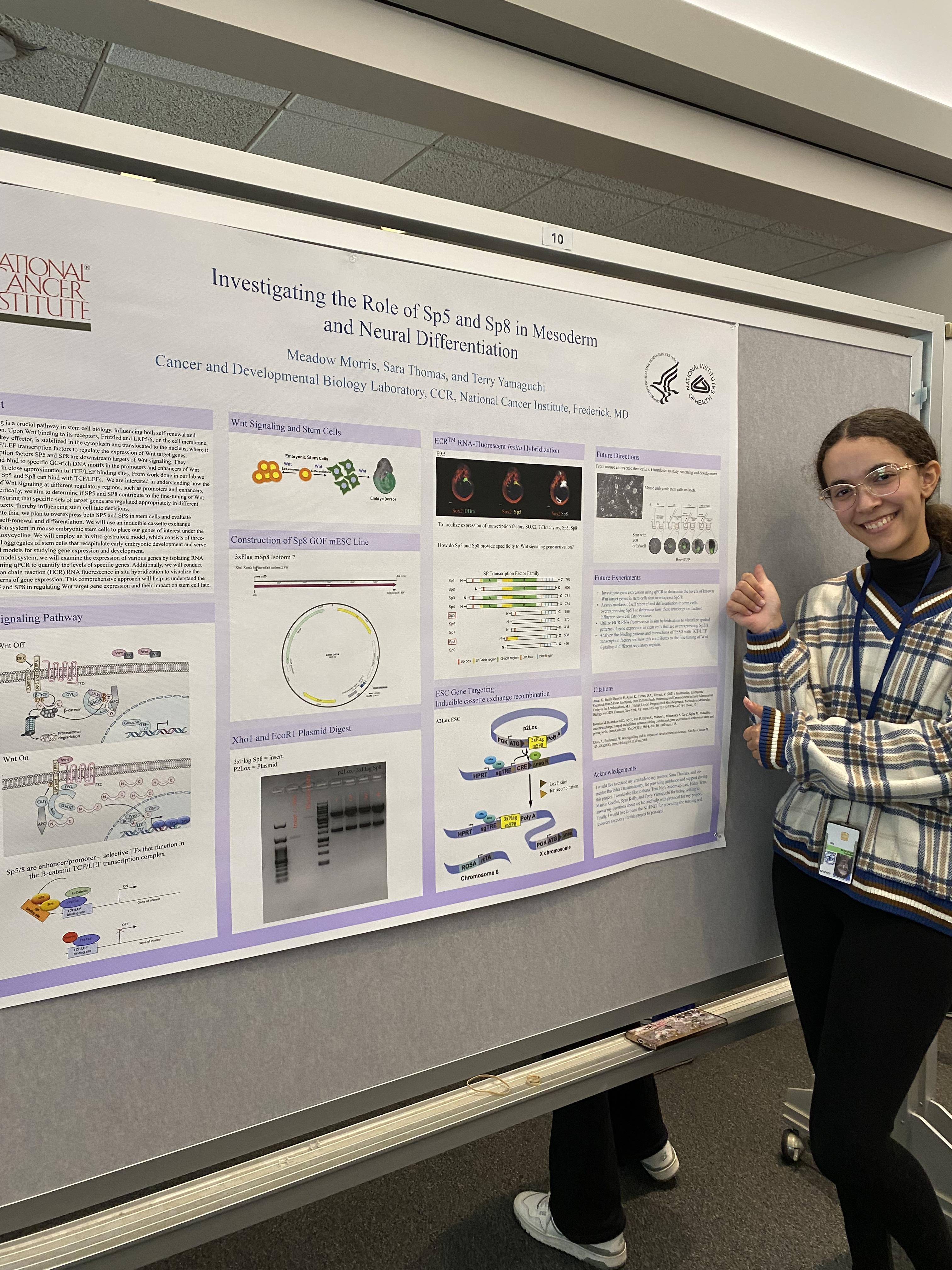 Meadow Morris, WHK HS SIP NCI-F Poster Day Aug. 1 2024