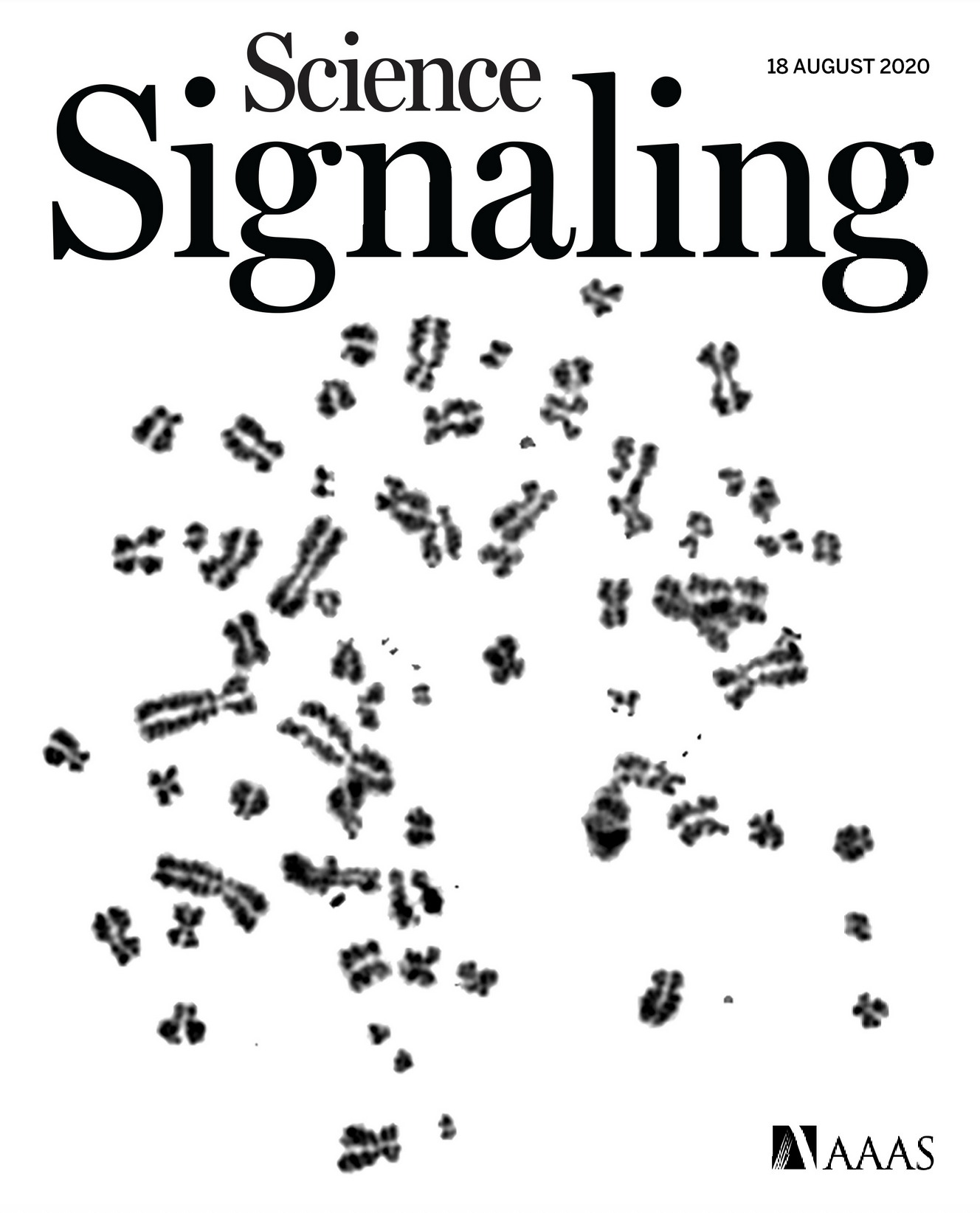 Cover of Science Signaling, August 20, 2020.