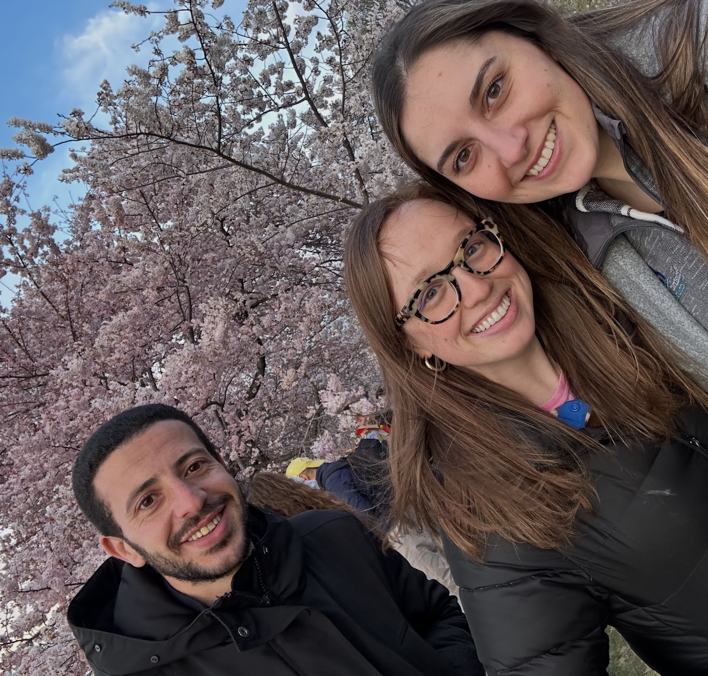 A group in the trees