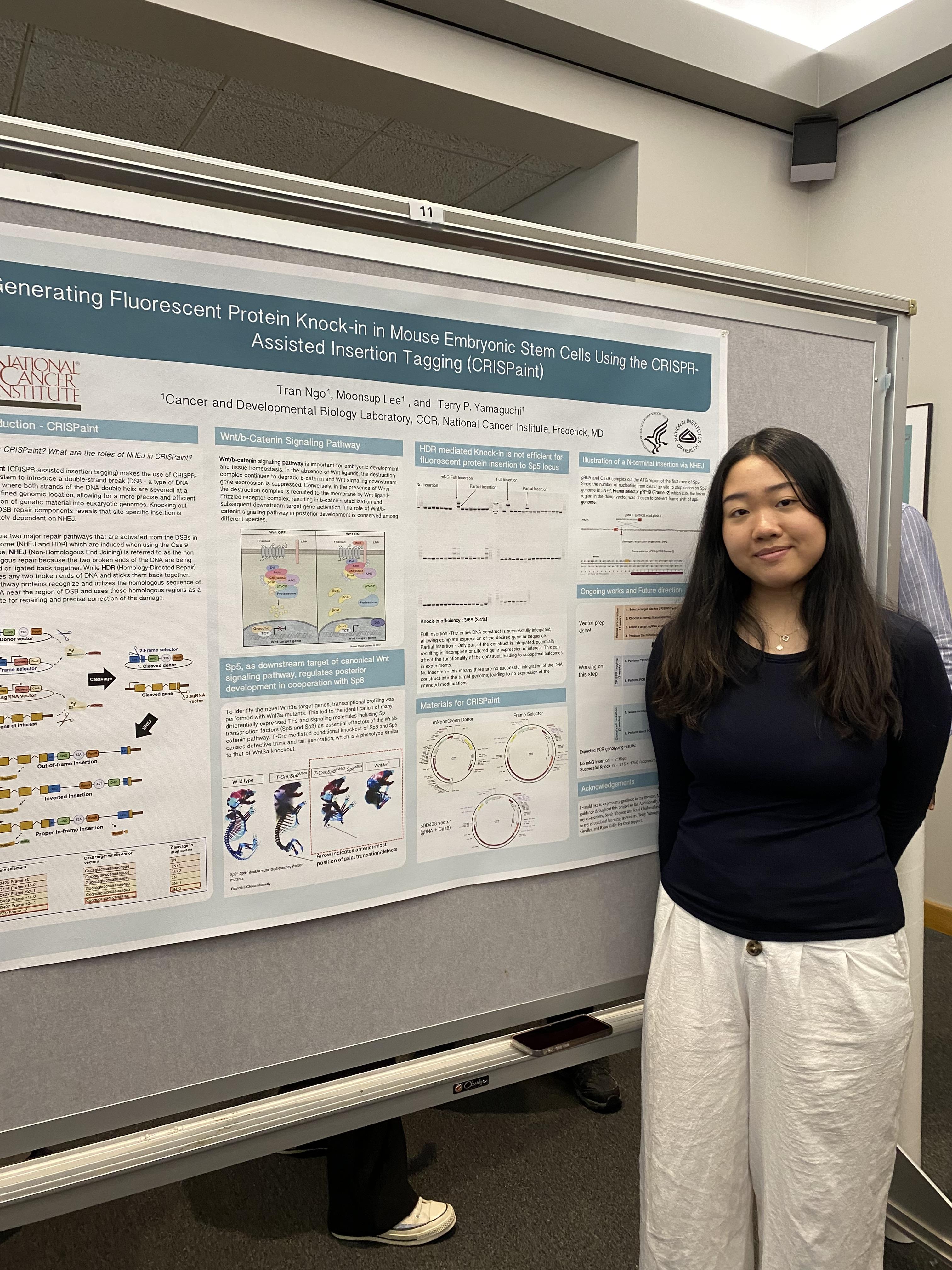 Tran Ngo, WHK HS Intern at NCI-F Poster Day Aug 1, 2024