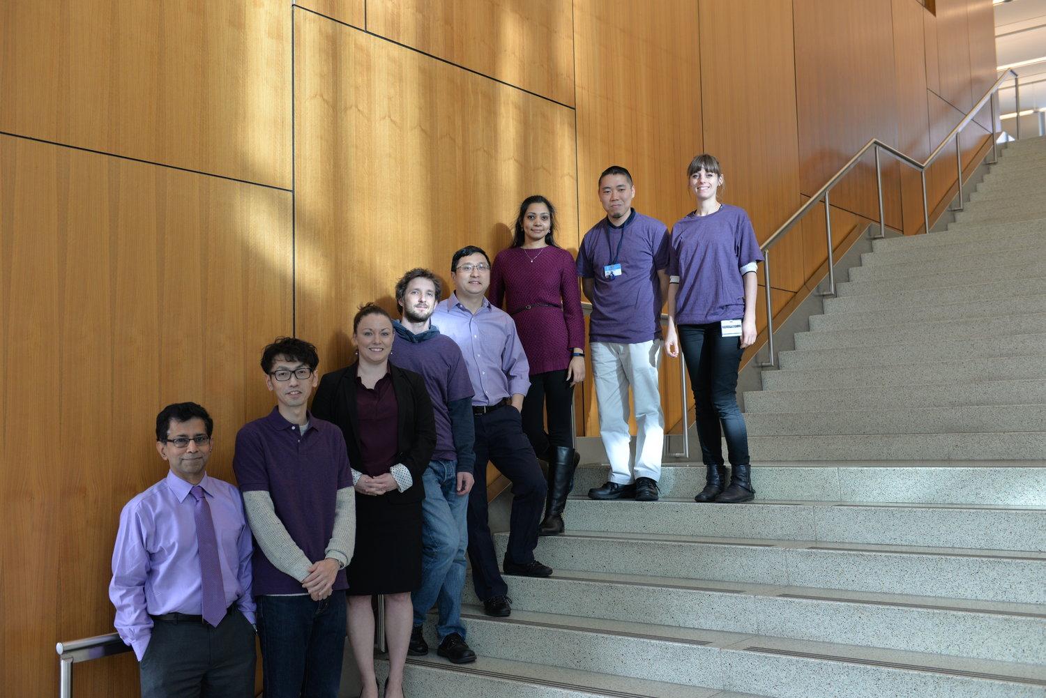 Lab dressed in purple in honor of World Pancreatic Cancer Day.