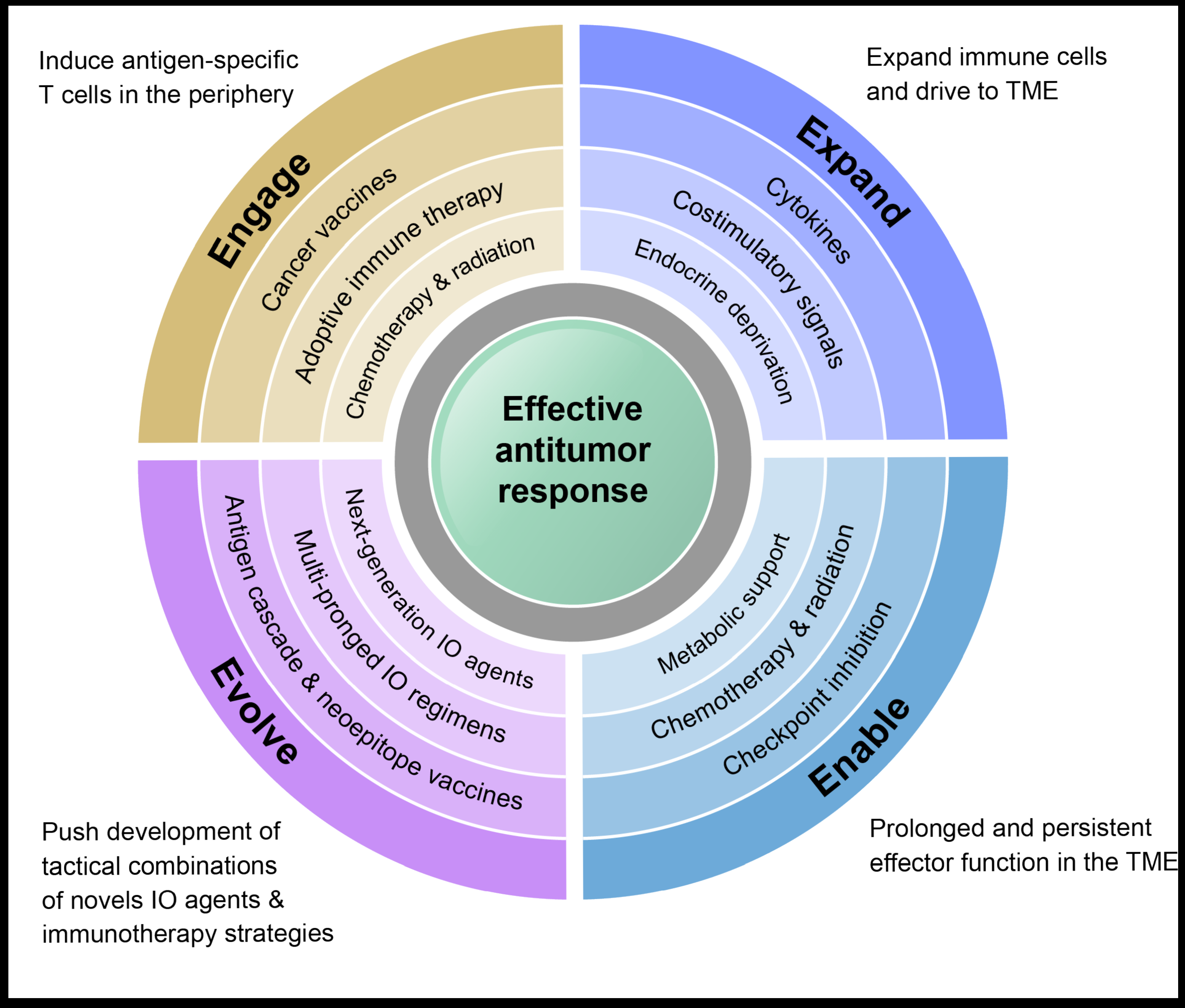 Multimodal immunotherapy to Engage, Expand, Enable, and Evolve anti-tumor immune responses.