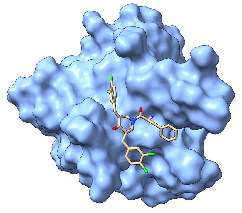The lowest energy modeled structure for hRpn13 Pru with its inhibitor RA190 adducted.