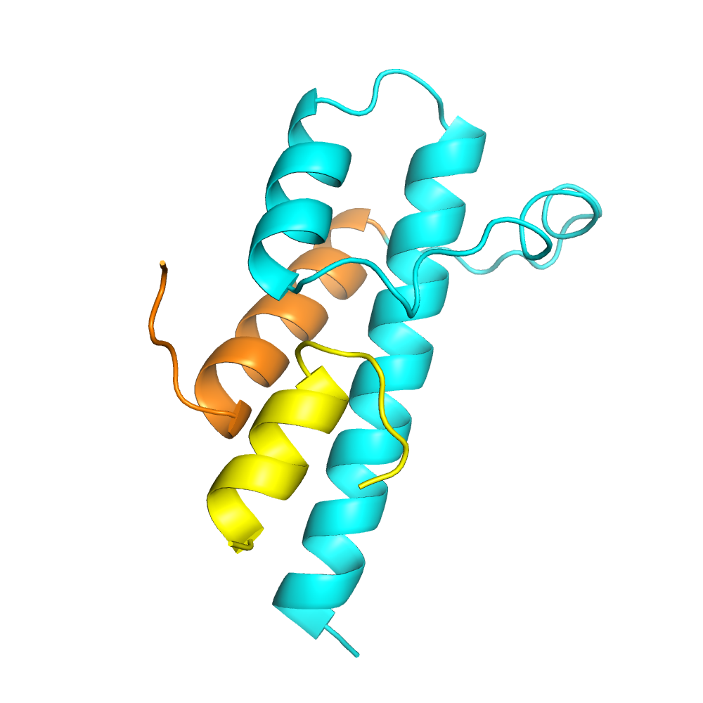 Structure of Myosin VI(1050-1131) in complex with Clathrin light chain alpha(46-61).