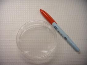 Picture 1 - a plate containing a tumor cell line