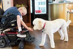 A POB patient, Travis, is pictured at The Children's Inn with the Inn's dog, Zilly.