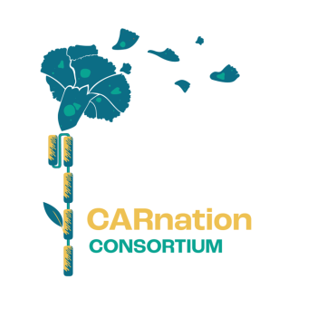 CARnation Consortium logo