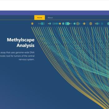 Methylation Classifier Website