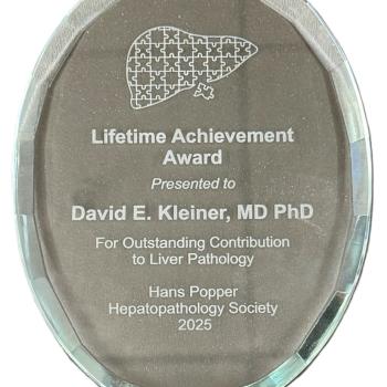 Hans Popper Hepatopathology Lifetime Achievement Award