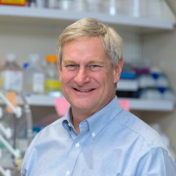 Joel P. Schneider, Ph.D.