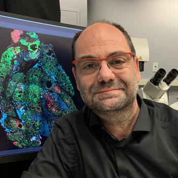 Roberto Weigert, Ph.D.