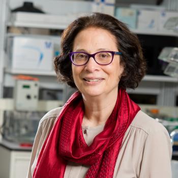 Sandra L. Wolin, M.D., Ph.D.