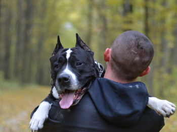 A man walking on a wooded trail holding his black and white dog.